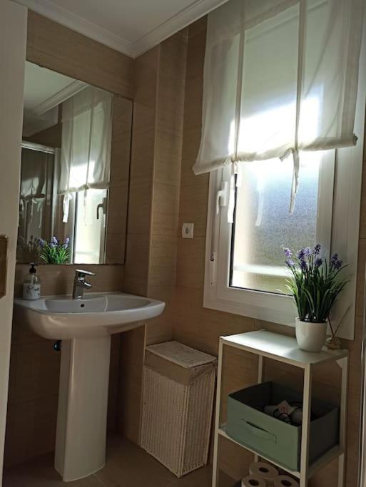 Bajo Con Jardin Privado Apartment Santander Ngoại thất bức ảnh