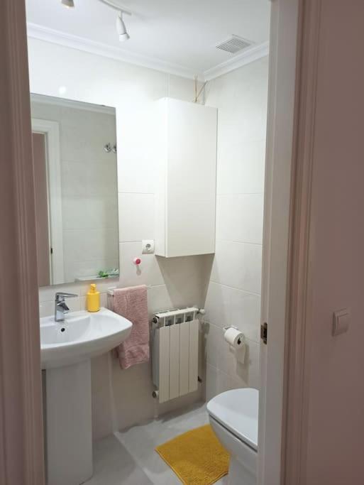 Bajo Con Jardin Privado Apartment Santander Ngoại thất bức ảnh