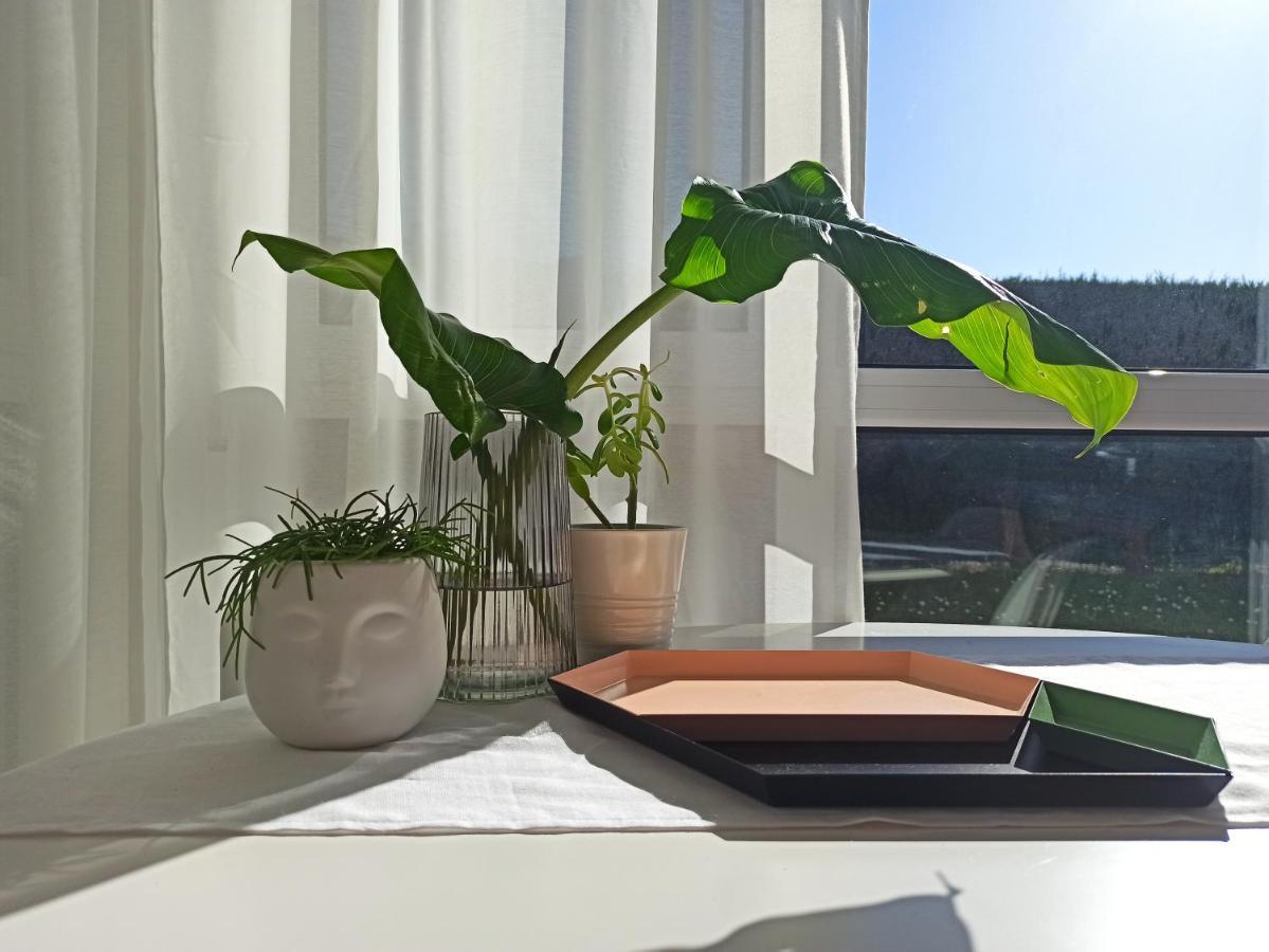 Bajo Con Jardin Privado Apartment Santander Ngoại thất bức ảnh