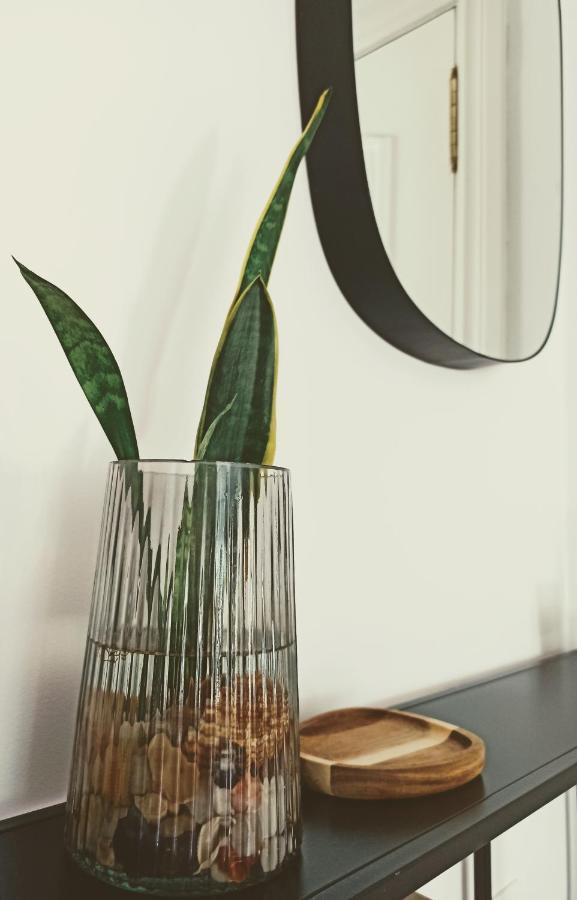 Bajo Con Jardin Privado Apartment Santander Ngoại thất bức ảnh
